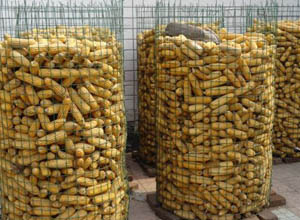 圈玉米網(wǎng)2.jpg